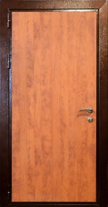 Дверь ламинат-10