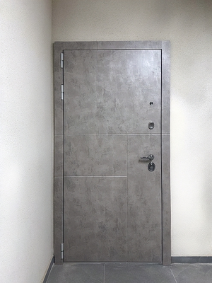 Дверь с панелями МДФ ПВХ