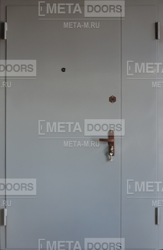 Техническая дверь Арт-ММ213