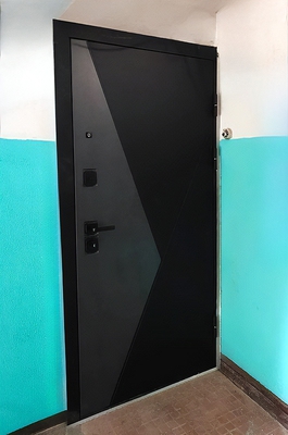 Двухцветная квартирная дверь