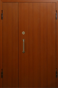 Дверь ламинат-14