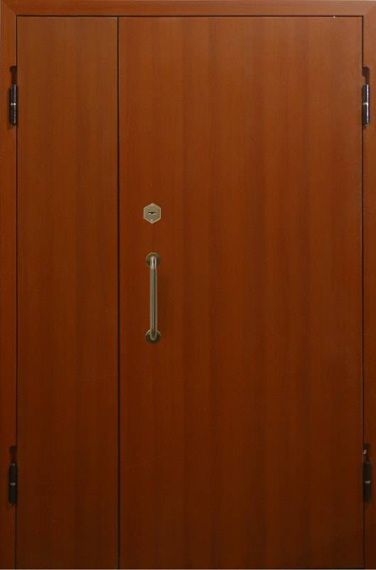 Арт-ММ192 Дверь ламинат