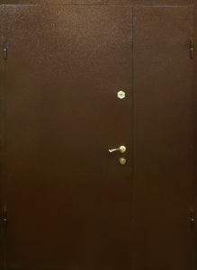 Дверь порошок-49