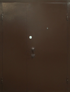 Дверь порошок-51
