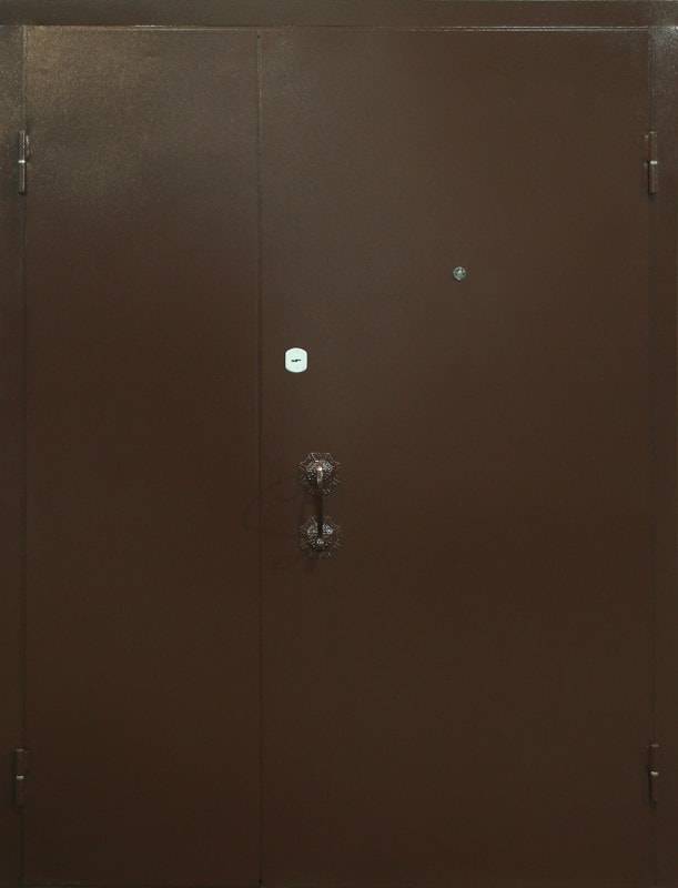 Арт-ММ205 Дверь порошок