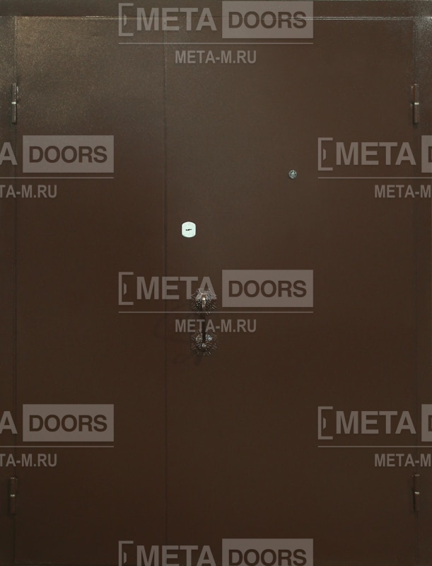 Дверь порошок Арт-ММ205