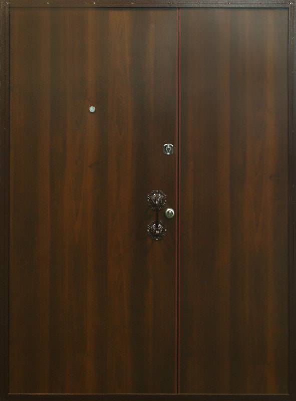 Арт-ММ205 Дверь порошок