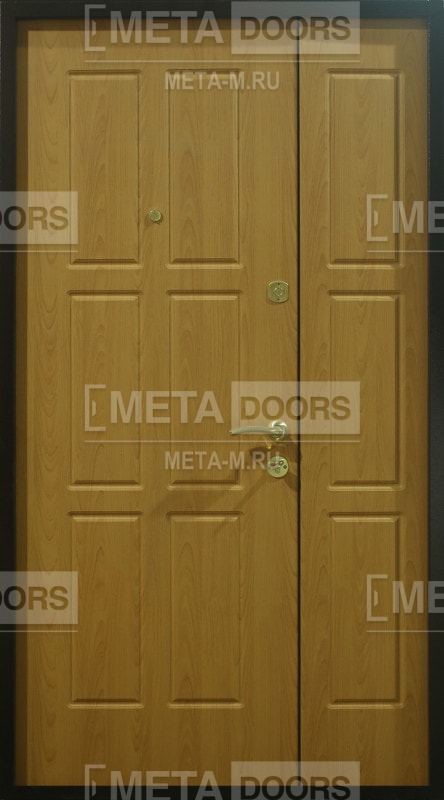 Дверь порошок-53