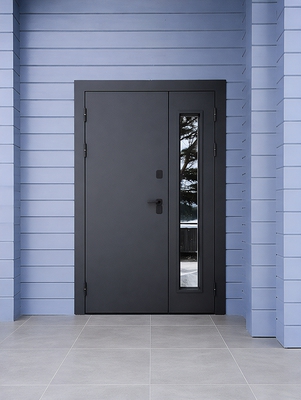 Полуторная порошковая дверь