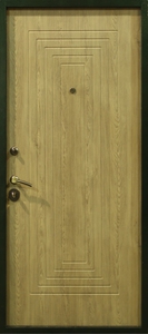 Дверь порошок-35