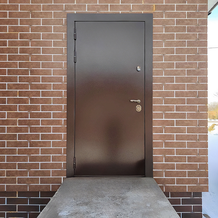 Стальная дверь с порошковой покраской