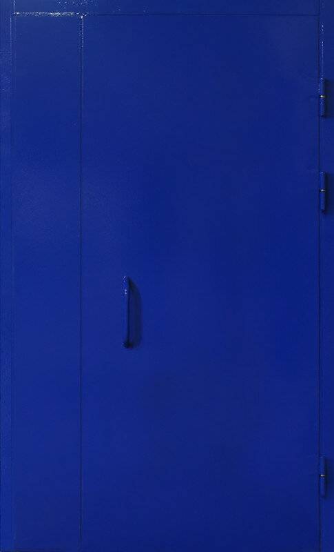 Арт-ММ279 Техническая дверь