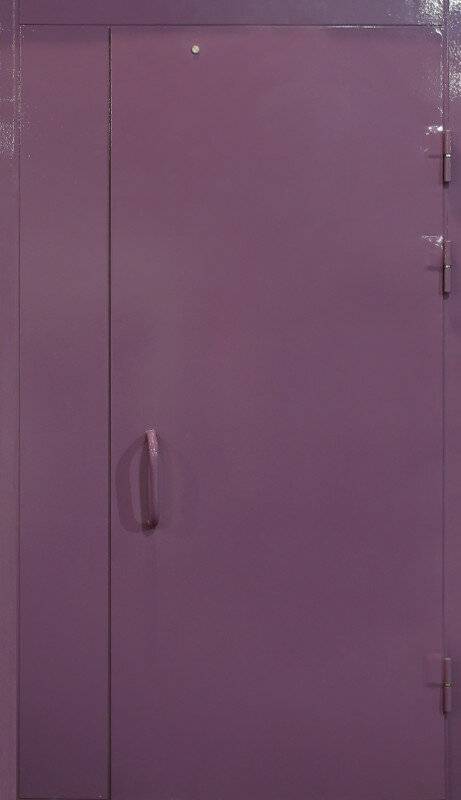 Арт-ММ287 Техническая дверь