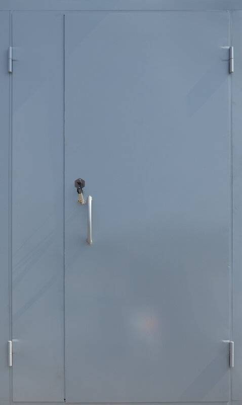 Арт-ММ293 Техническая дверь